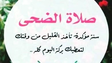صلاة الضحى لخمس ساعات.. كيف غيّر الفلسطينيون مسار اقتحام مستوطنين للأقصى؟
