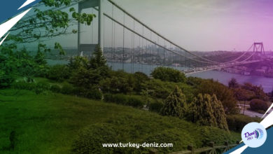 حديقة الشعب.. مشاريع وطنية عملاقة من شأنها أن توسع الغطاء النباتي في مدن تركيا