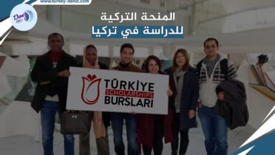 بدء التسجيل في برنامج المنحة الدراسية في تركيا للأجانب 2023