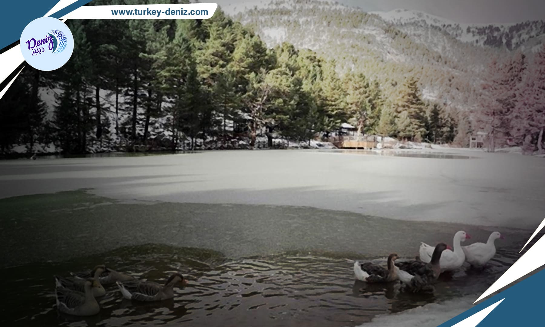 جمال الشتاء في تركيا: بحيرة "ليمني" تتحول إلى لوحة فنية في ولاية غوموش خانه