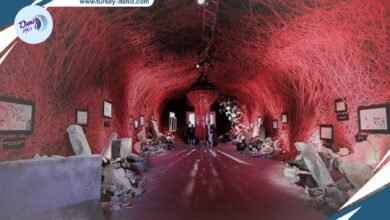 معرض لرسامين أطفال من غزة بعنوان “أحلام مقاومة للرصاص” يُقام في إسطنبول